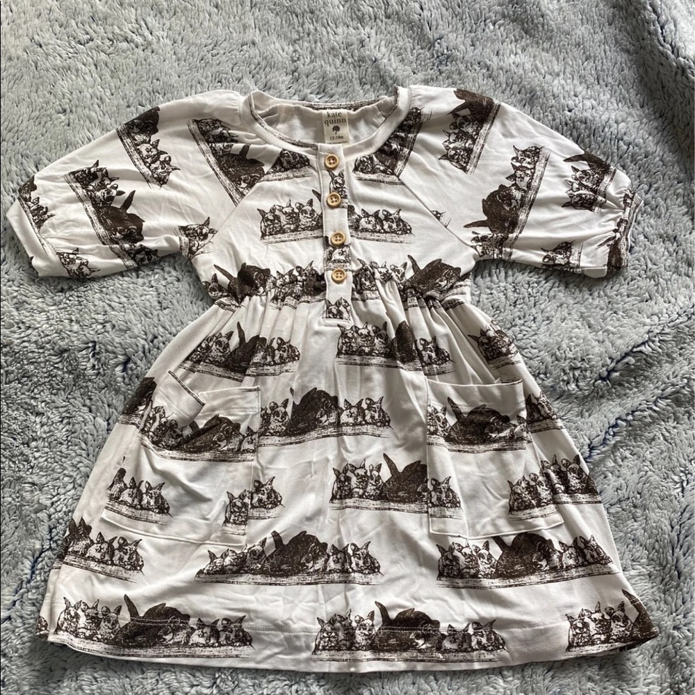 Kate Quinn dress